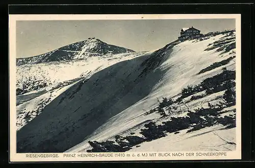 AK Prinz Heinrich-Baude im Riesengebirge, Winterlandschaft mit Blick nach der Schneekoppe