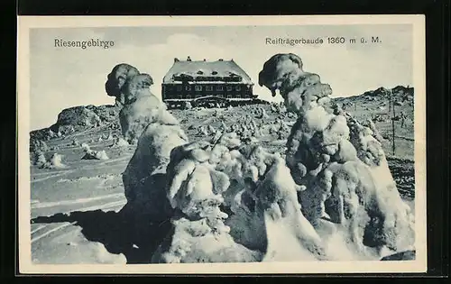 AK Reifträgerbaude im Riesengebirge, Winterlandschaft unter der Baude