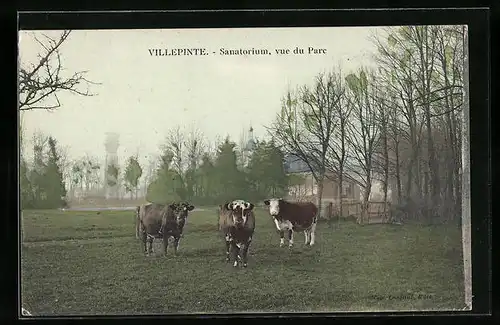 AK Villepinte, Sanatorium, vue du Parc