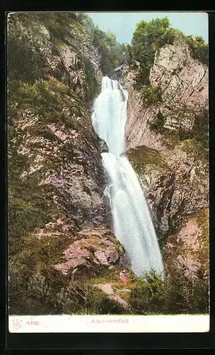 AK Blick auf den Alpachfall