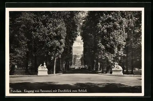 AK Potsdam, Eingang von Sanssouci mit Durchblick zum Schloss