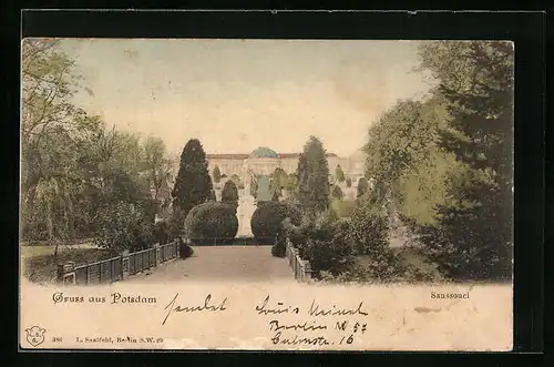 AK Potsdam, Blick um Schloss Sanssouci