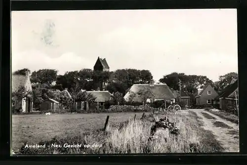 AK Nes / Ameland, Gezicht op dorp