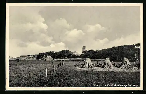 AK Nes / Ameland, Gezicht op het dorp