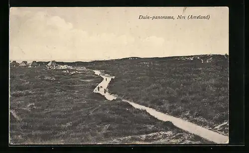 AK Nes / Ameland, Duin-panorama