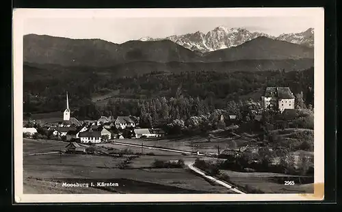 AK Mossburg, Gesamtansicht mit Gebirgswand