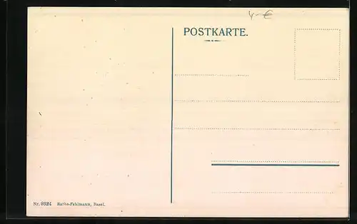 AK St. Gallen, Gesamtansicht