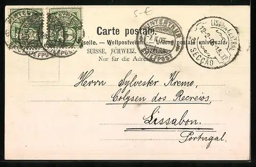 AK Winterthur, Primarschul- und Stadthaus