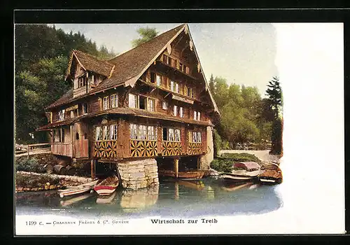 AK Genéve, Wirtschaft zur Treib