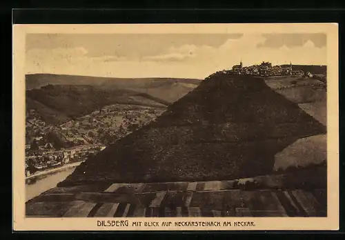 AK Neckarsteinach am Neckar, Panorama mit Dilsberg