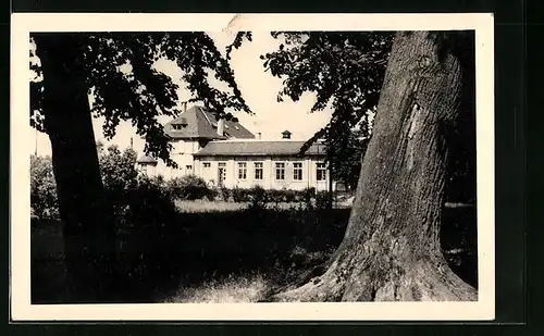 AK Offenbach a. Main, Naturfreundehaus auf der Rosenhöhe