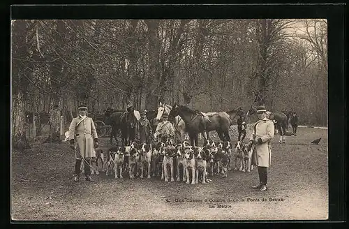 AK Dreux, Une Chasse a Courre dans la Foret, La Meute, Jagdhunde mit Pferden