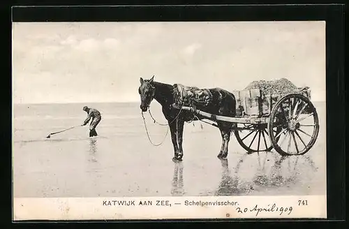 AK Katwijk aan Zee, Schelpenvisscher