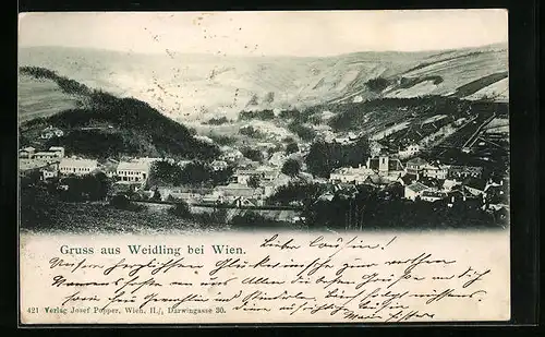 AK Weidling, Generalansicht der Stadt im Tal
