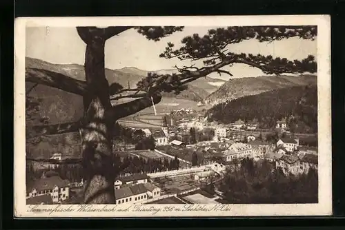 AK Weissenbach a. d. Triesting, Ortstotale im Tal