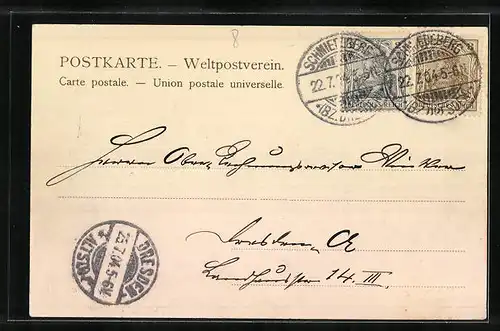 AK Schmiedeberg / Erzgeb., Totalansicht