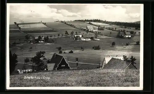 AK Schellerhau / Erzgeb., Blick von der Bergwiese