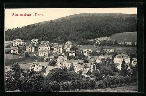 AK Schmiedeberg / Erzgeb., Panoramablick vom Berg
