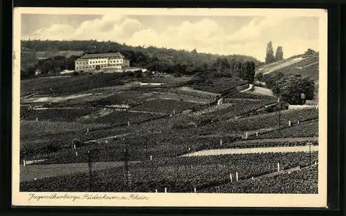 AK Rüdesheim / Rhein, Blick zur Jugendherberge