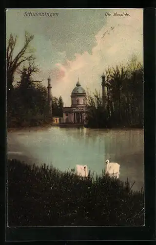 AK Schwetzingen, Blick vom Schwanenteich zur Moschée