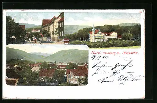 AK Ilsenburg / Harz, Teilansichten, Gasthaus Waldhöhe
