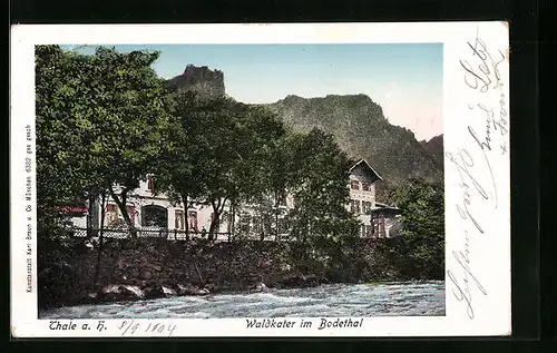 Goldfenster-AK Thale a. H., Gasthaus Waldkater