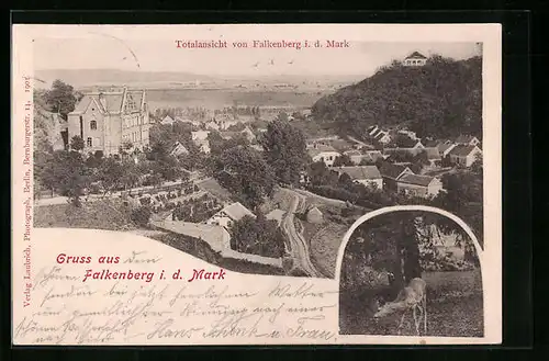 AK Falkenberg / Mark, Totalansicht, Reh im Wald