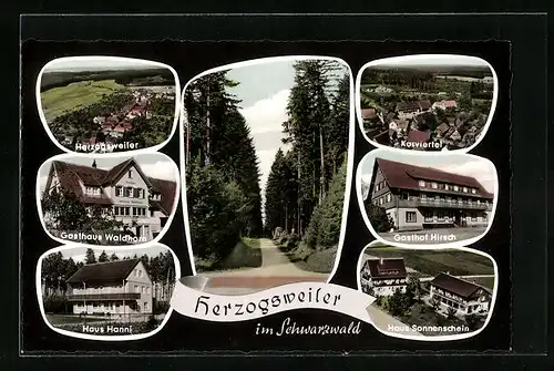 AK Herzogsweiler / Schwarzwald, Gasthof Hirsch, Haus Sonnenschein, Haus Hanni