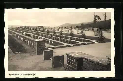 AK Heidelberg, am Ehrenfriedhof