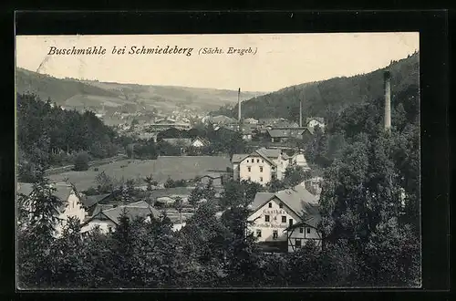 AK Buschmühle / Schmiedeberg, Gesamtansicht mit Gasthaus
