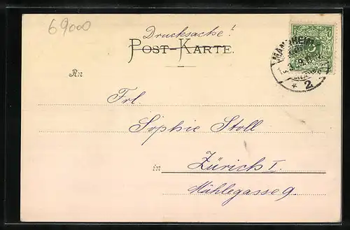 AK Heidelberg, Schlossgarten bei Mondschein