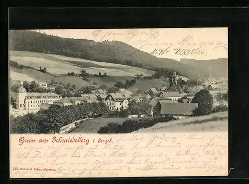 AK Schmiedeberg /Erzgeb., Ortspartie mit Blick gegen Wald