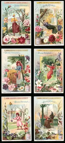 6 Sammelbilder Liebig, Serie Nr. 689: Blumen-Jahreslauf, Fahrrad, Schaukel, Feldblumen