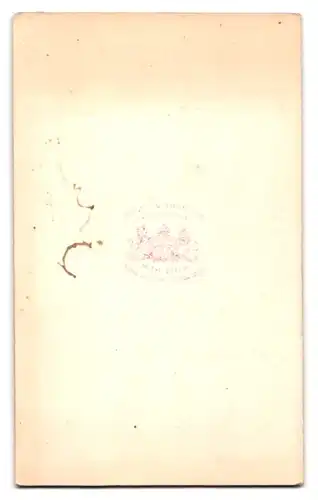 Fotografie Ross & Thompson, Edinburgh, 90. Princes Street, Bärtiger Mann mittleren Alters im edlen Anzug mit Halstuch
