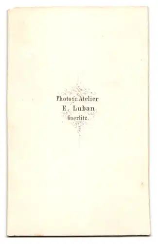 Fotografie E. Luban, Görlitz, Dame in zeitgenössicher Bluse mit weitem Reifrock und edler Brosche am Kragen