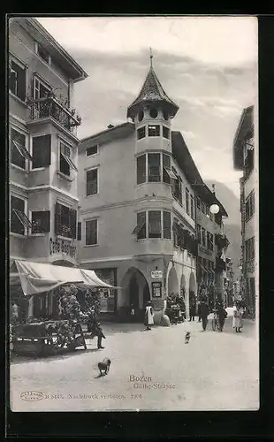 AK Bozen, Dackel in der Göthe-Strasse