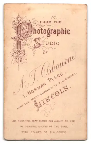 Fotografie A. J. Osbourne, Lincoln, 1. Norman Place, Demotivert schauende Schönheit im hochwertigen Biedermeierkleid