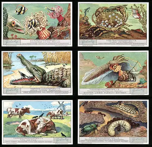 6 Sammelbilder Liebig, Serie Nr. 1283: Tierfreundschaften, Ameisen, Krokodil, Krabbe