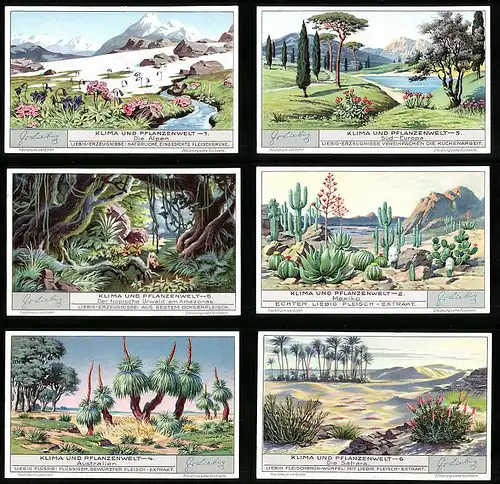 6 Sammelbilder Liebig, Serie Nr. 1277: Klima und Pflanzenwelt, Mexico, Amazonas, Sahara