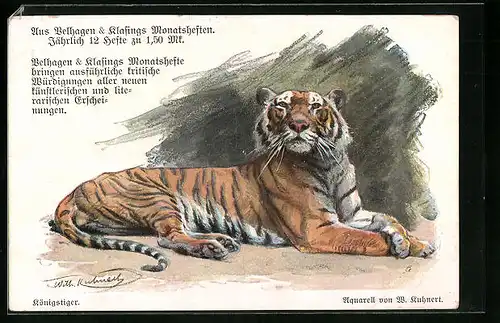 Künstler-AK Königstiger - Werbung für Velhagen & Klasings Monatshefte