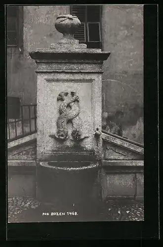 AK Bozen, Brunnen mit Fisch-Relief