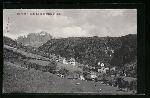 AK Tiers, Gesamtansicht mit Blick zum Rosengarten