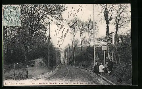 AK Meudon, Forêt de Meudon, Le Chemin des Bruyères de Sèvres