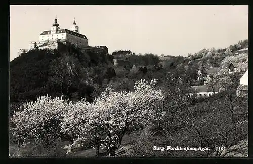 AK Forchtenstein, Schloss im Frühling