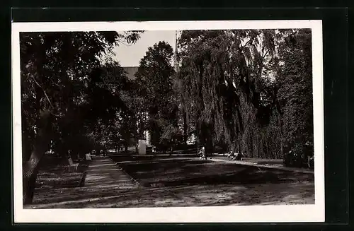 AK Rakovnik, Mestsky sad