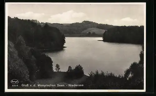 AK Niedersee /Masuren, Seepartie mit Waldstück