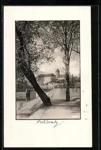 AK Lazne Podebrady, Panorama, Strassenpartie mit Brücke