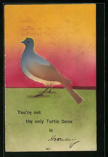 Künstler-AK Cynicus: You`re not the only Turtle Dove
