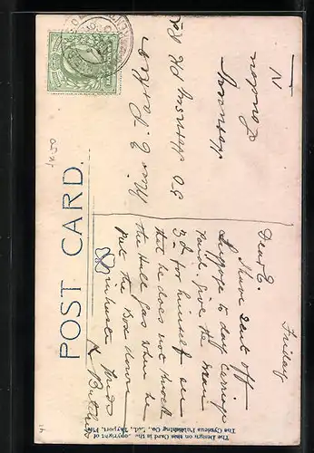 Künstler-AK Cynicus: You`re not the only Turtle Dove