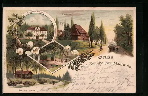 Lithographie Mühlhausen i. Th., Gasthaus Peterhof, Weisses Haus, Rothes Haus